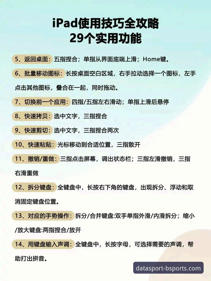 新手必看！BSports功能使用心得：从数据小白到分析老手的实战经验